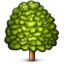 :deciduous_tree: